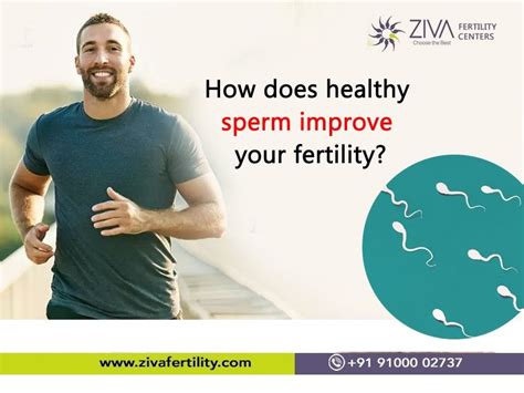 masumax for fertility|Healthy sperm: Improving your fertility .